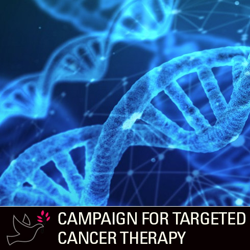 I Am More Than Cancer Campaign: Zaccagnino Campaign for Targeted Cancer Therapy